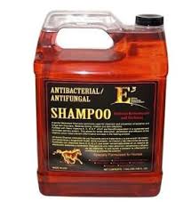 e3-shampoo-gal.jpg