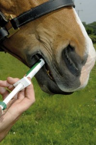 Horse Wormer Comparison Chart